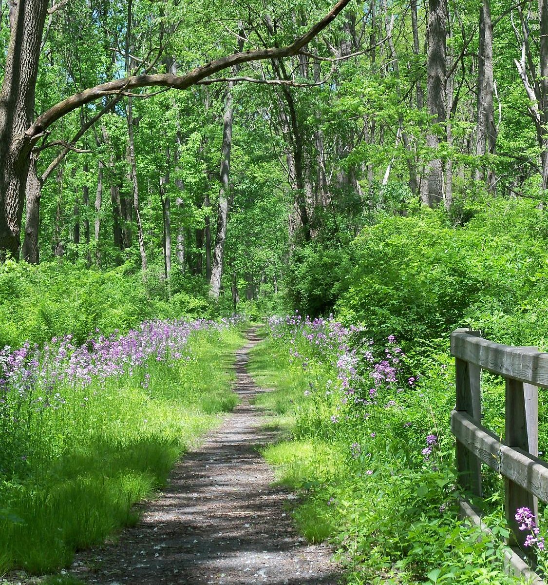 Catherine Valley Trail